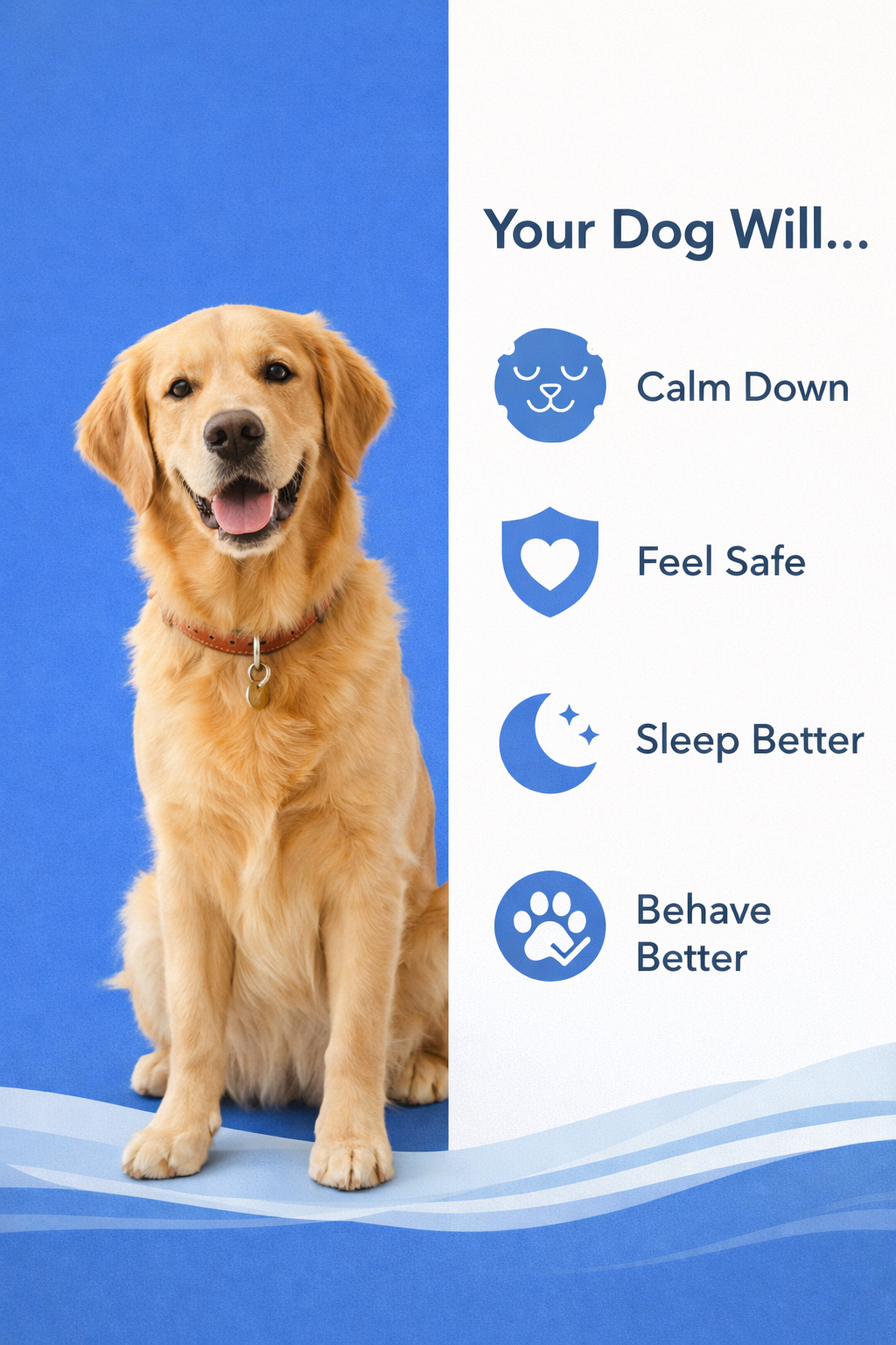 Separation Anxiety Solution Training Guide